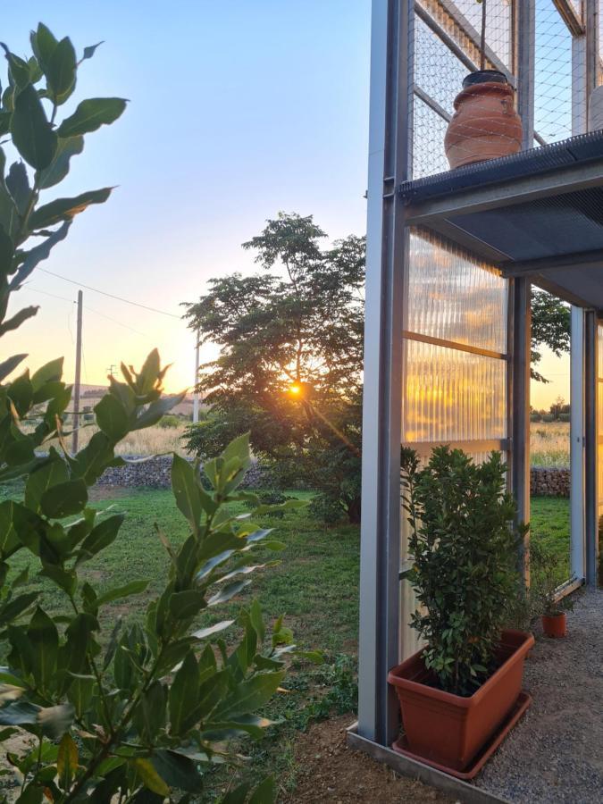 Anonima Agricola Villa Orbetello Luaran gambar